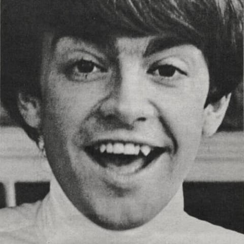 Mark Lindsay
