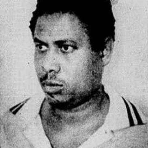 Zé Bruno