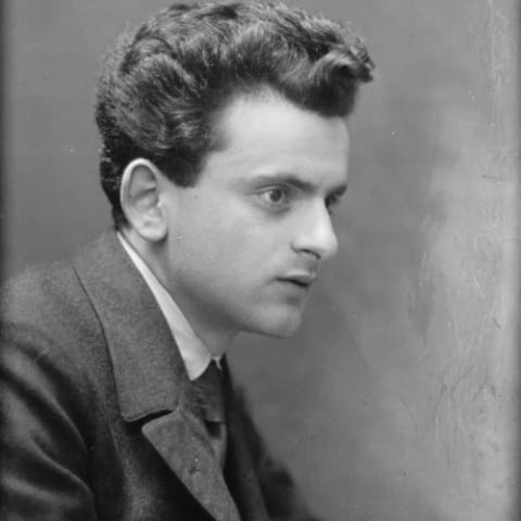 Abel Herzberg