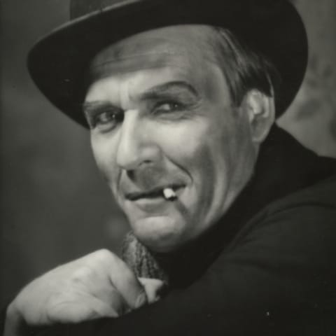 Harald Jr. Heide-Steen