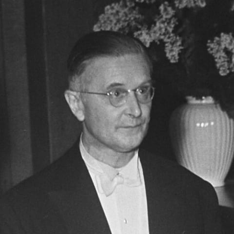 Rudolph Cleveringa