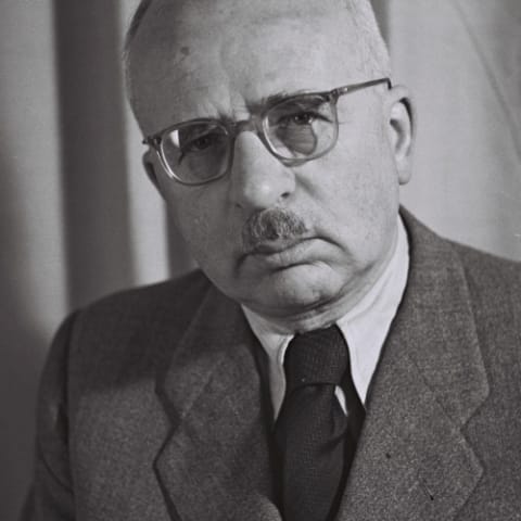 Pinchas Rosen