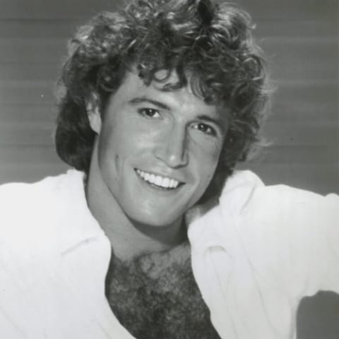 Andy Gibb