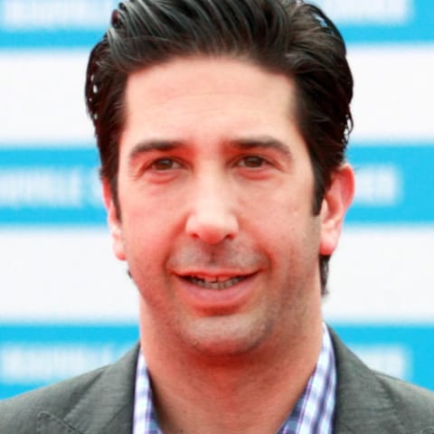 David Schwimmer