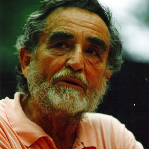 Vittorio Gassman