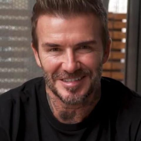 Harper Seven Beckham