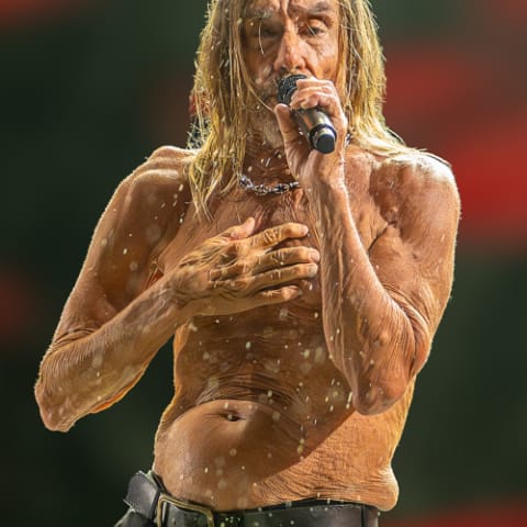 Iggy Pop