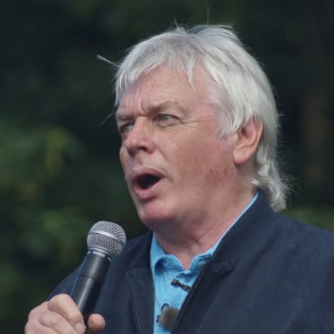 David Icke