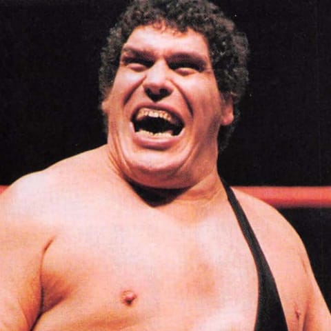 André the Giant
