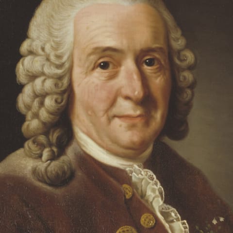 Carlos Linneo