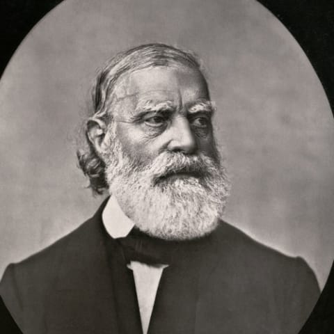 François-Vincent Raspail