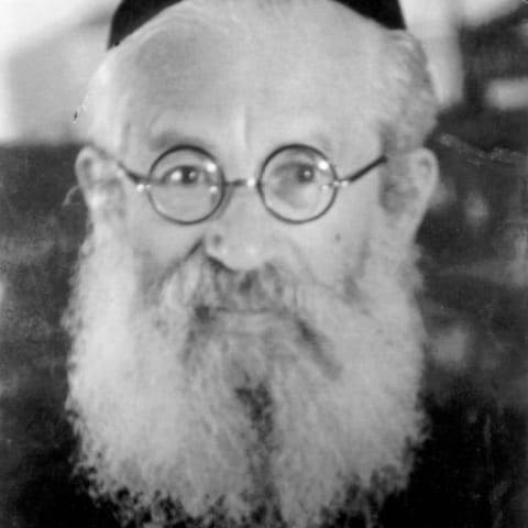 Yitzhak Herzog
