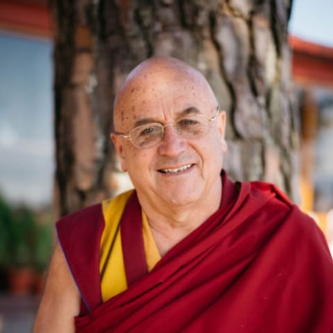 Matthieu Ricard