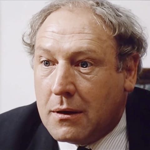 Georges Wilson