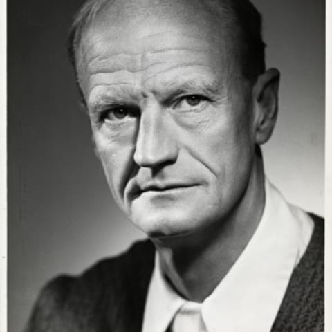 Johan Borgen