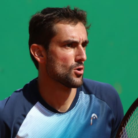 Marin Čilić
