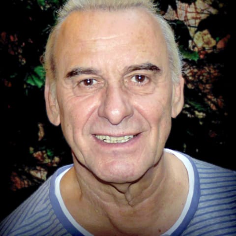 Michel Fugain