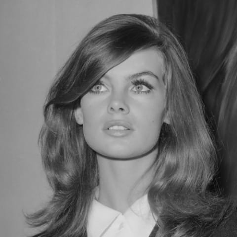 Jean Shrimpton