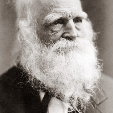 William Cullen Bryant