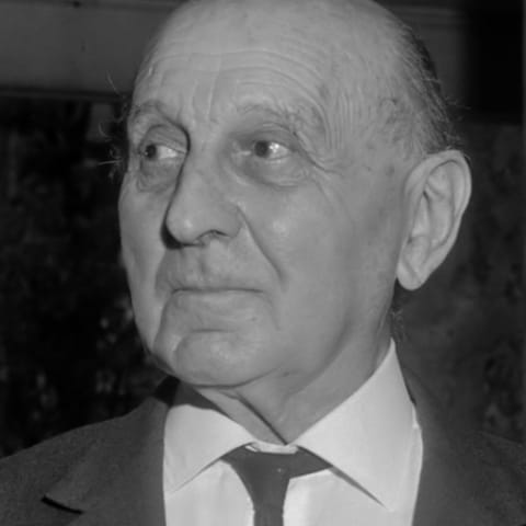 Frederik Jacobus Johannes Buytendijk