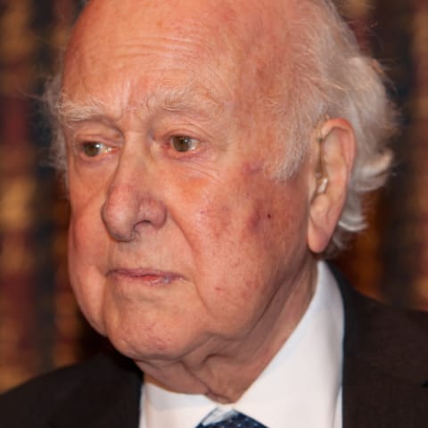 Peter Higgs