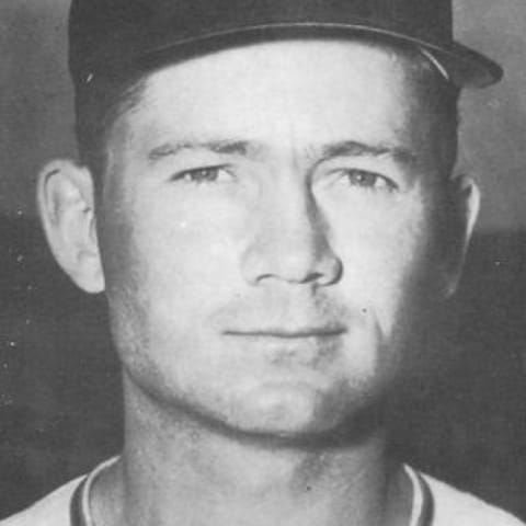Davey Williams