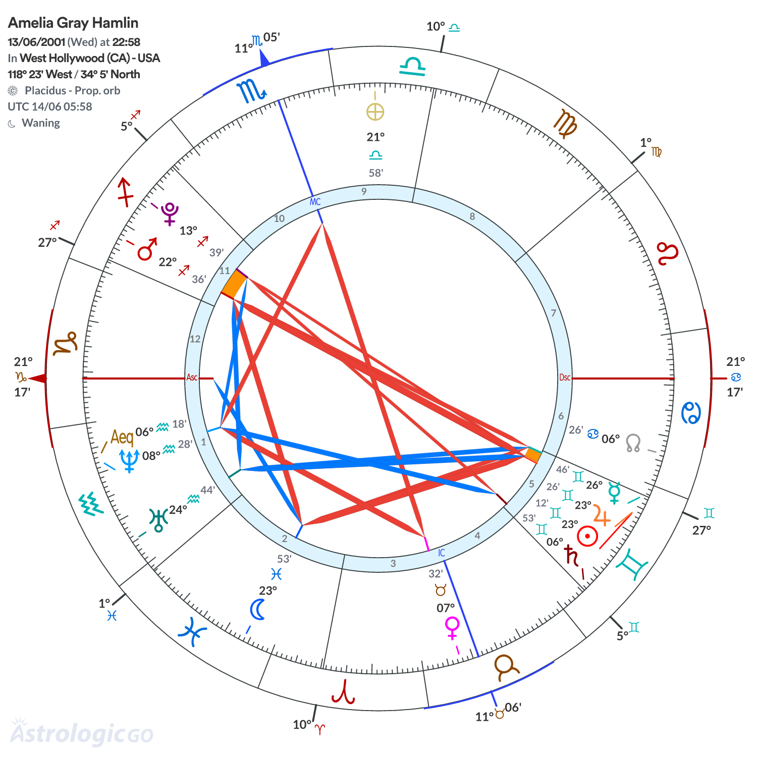 Chart wheel - Amelia Gray Hamlin