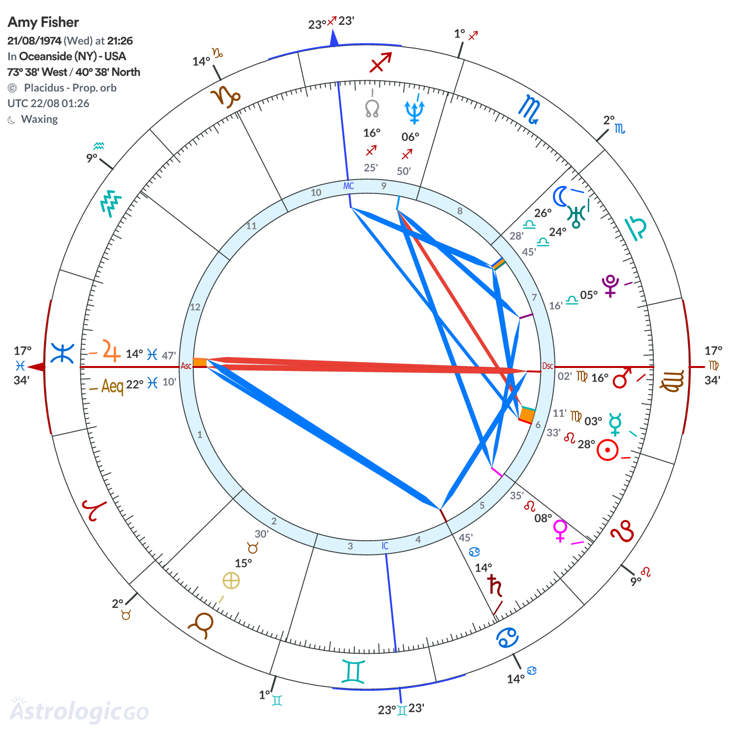 Chart wheel - Amy Fisher