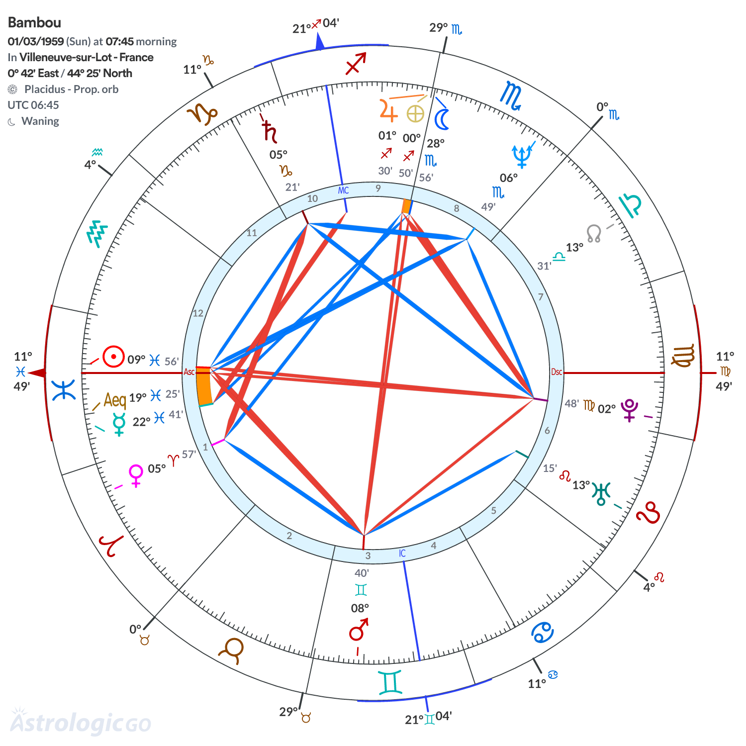 Chart wheel - Bambou