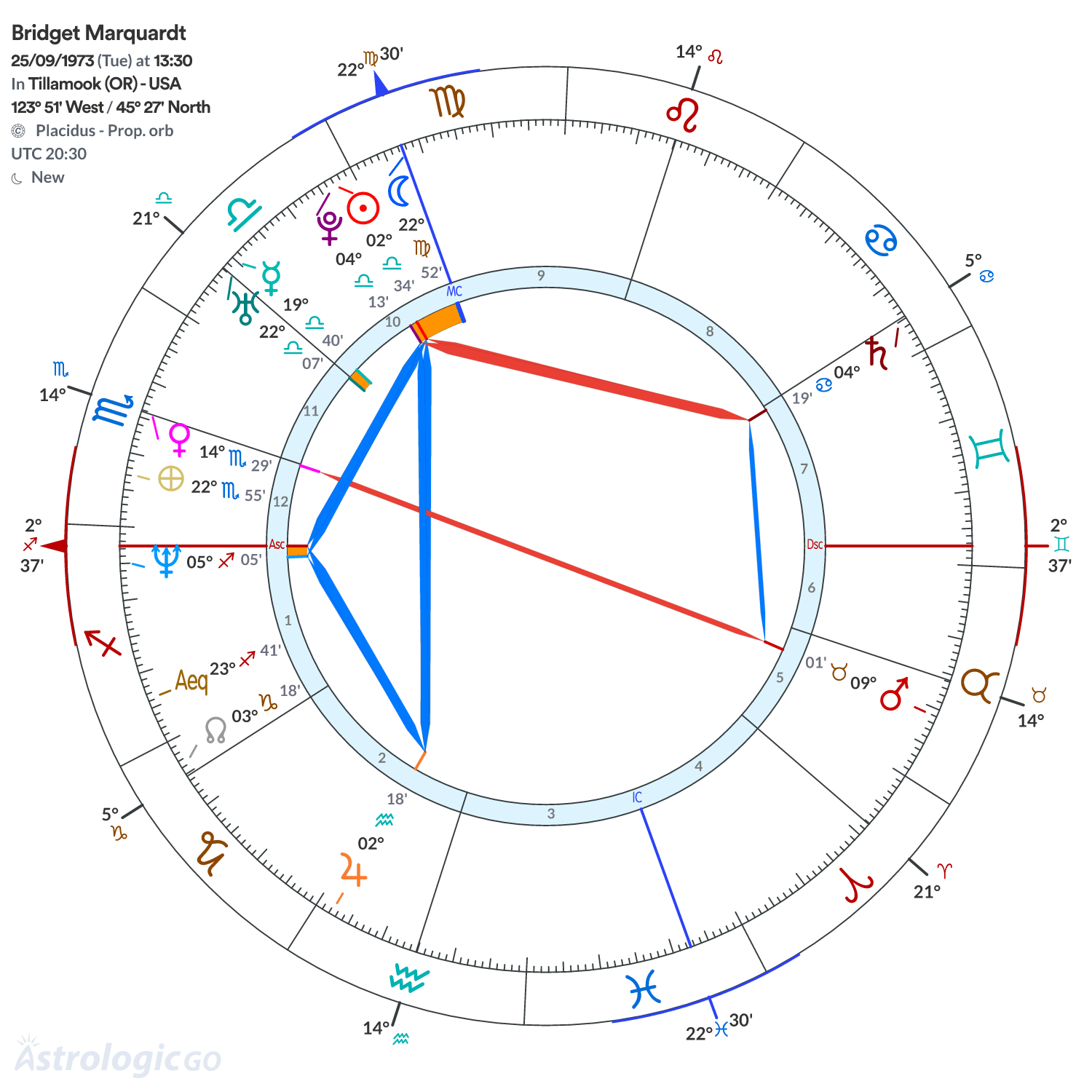 Chart wheel - Bridget Marquardt