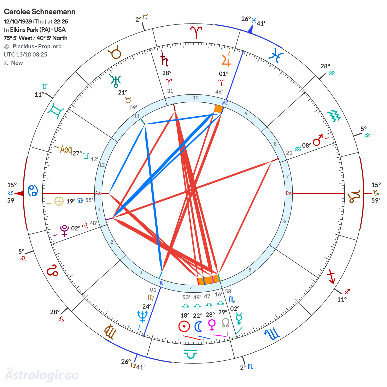 Chart wheel - Carolee Schneemann