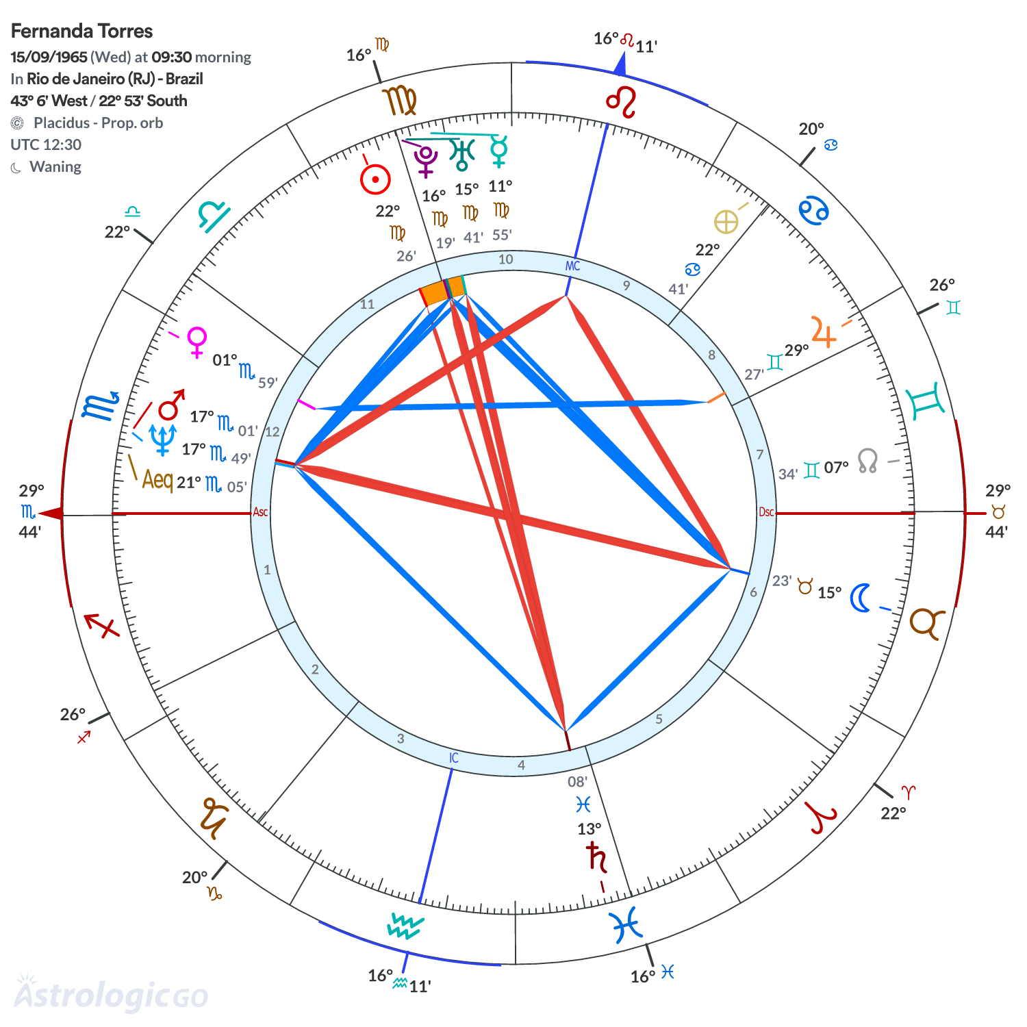 Chart wheel - Fernanda Torres