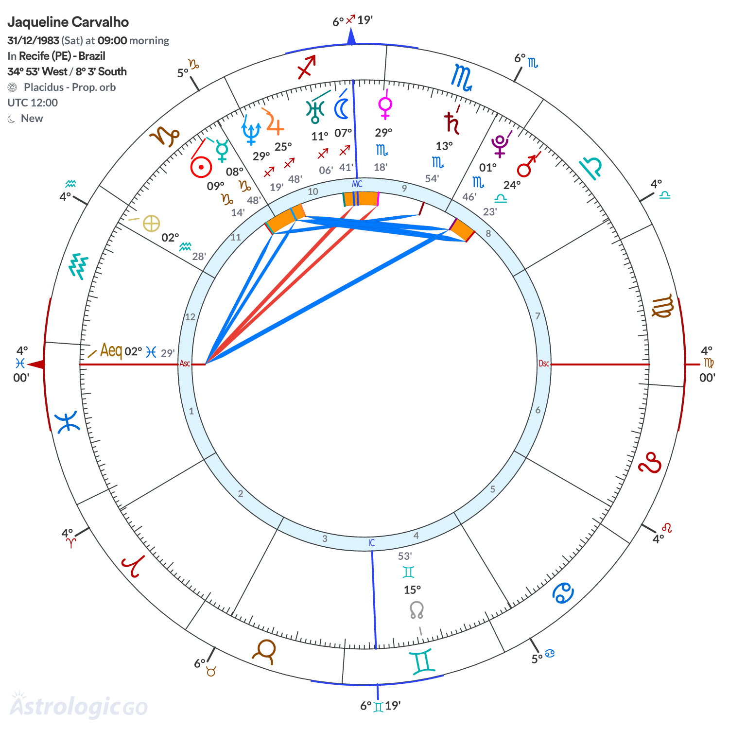 Chart wheel - Jaqueline Carvalho