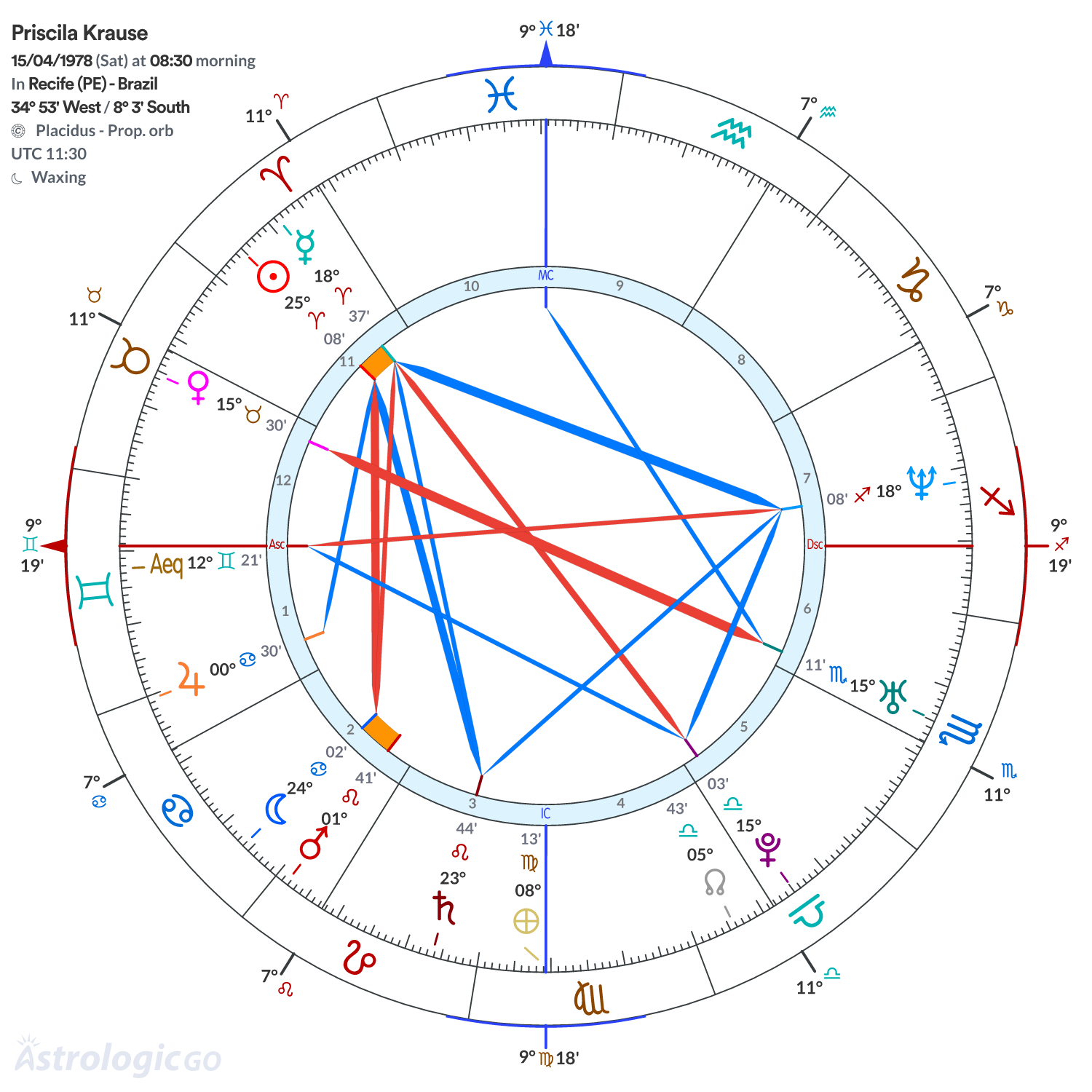 Chart wheel - Priscila Krause