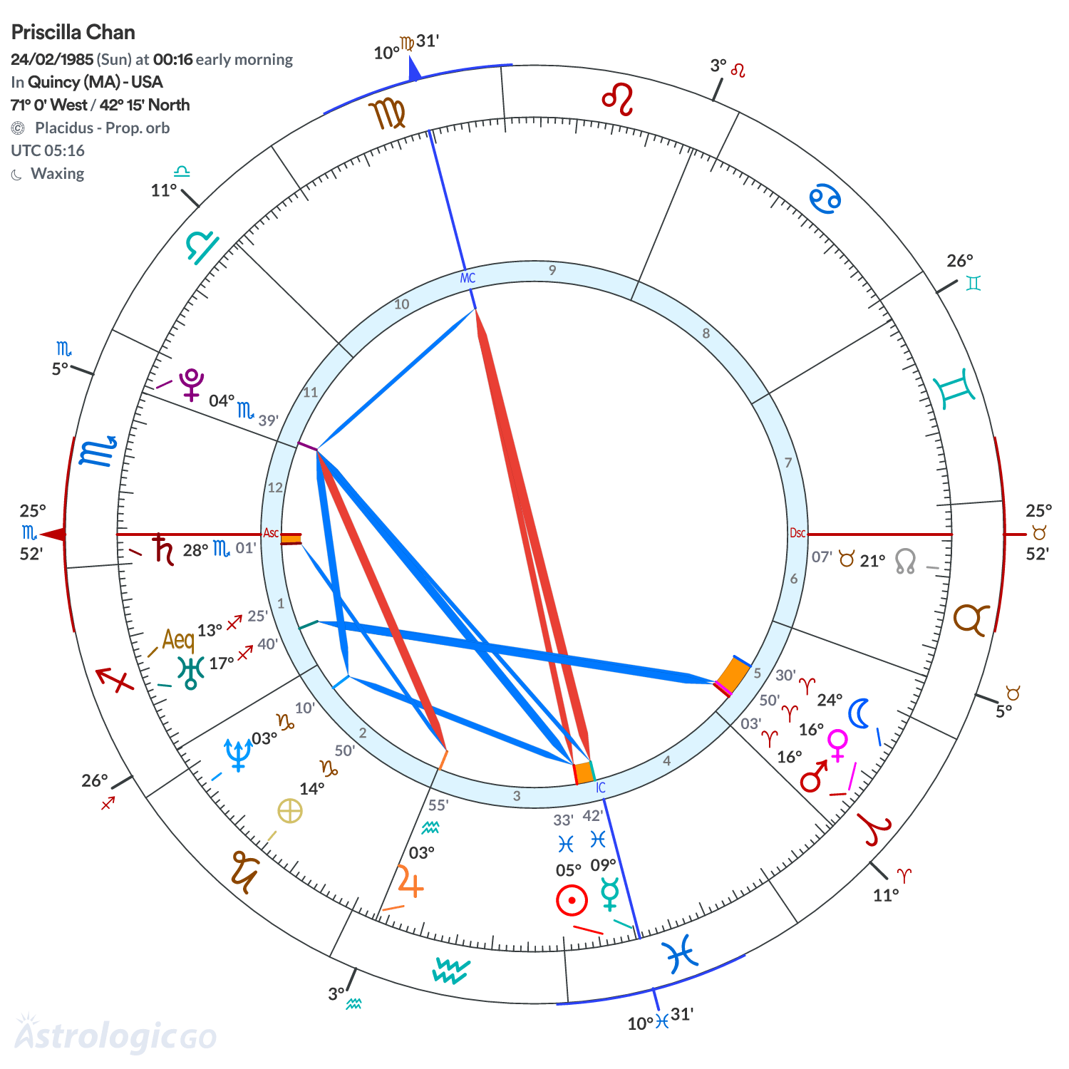 Chart wheel - Priscilla Chan