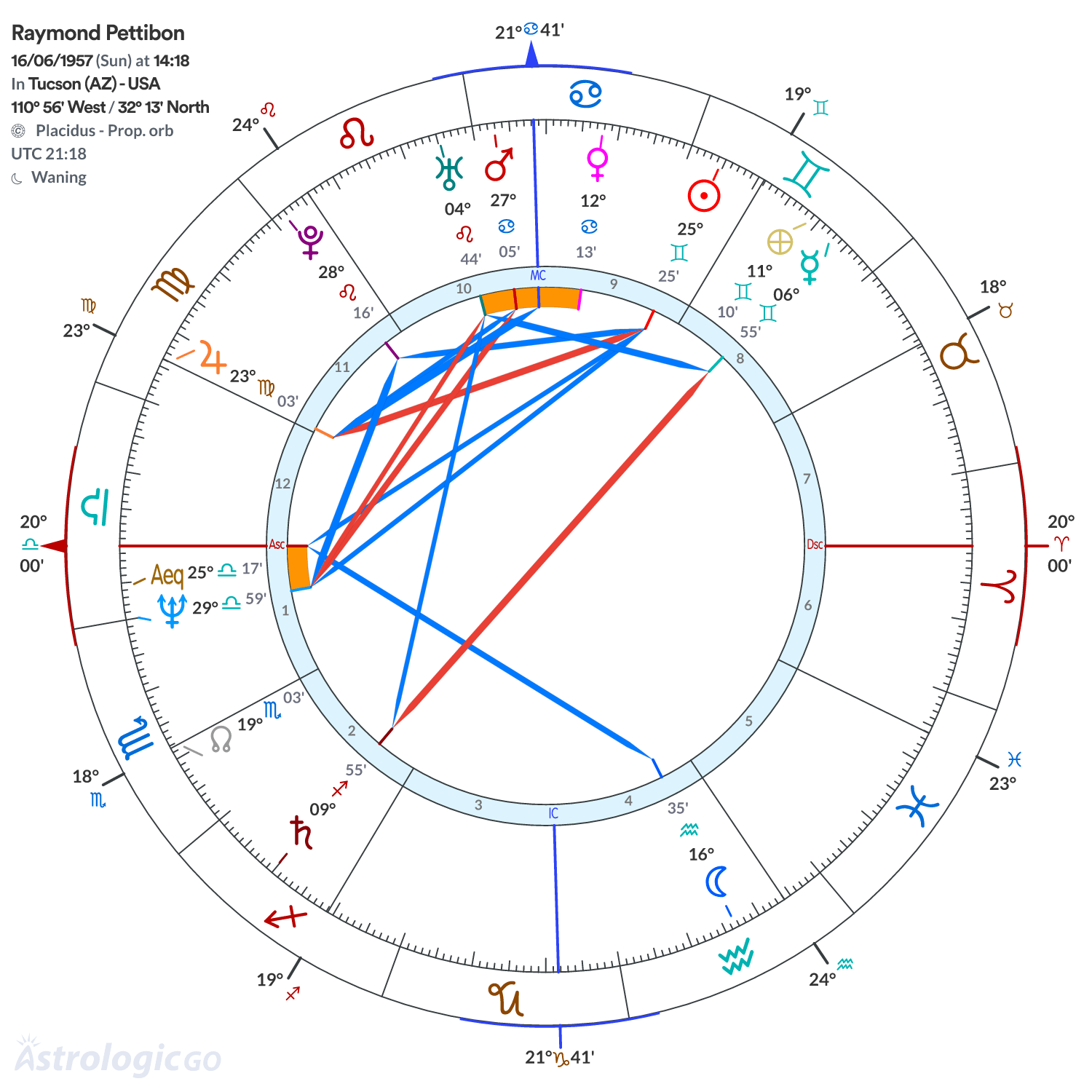 Chart wheel - Raymond Pettibon
