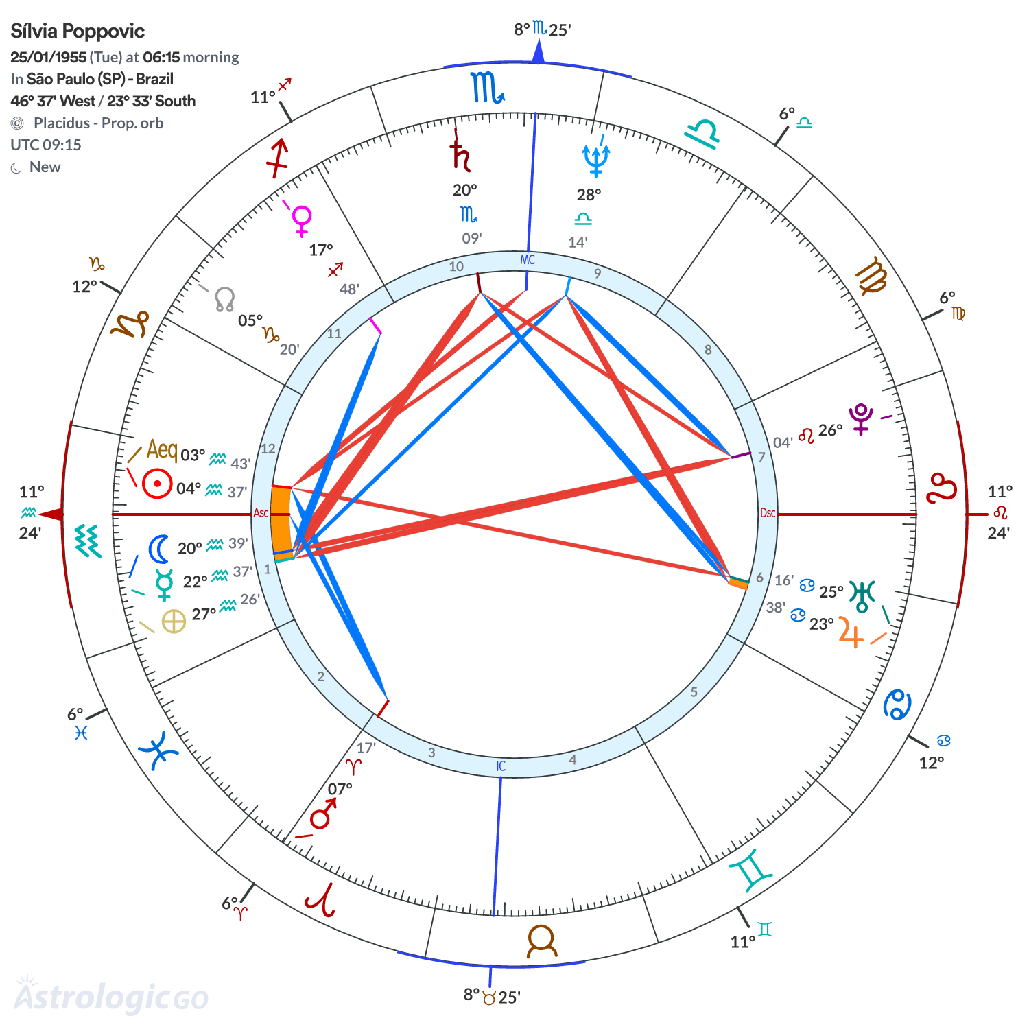 Chart wheel - Sílvia Poppovic