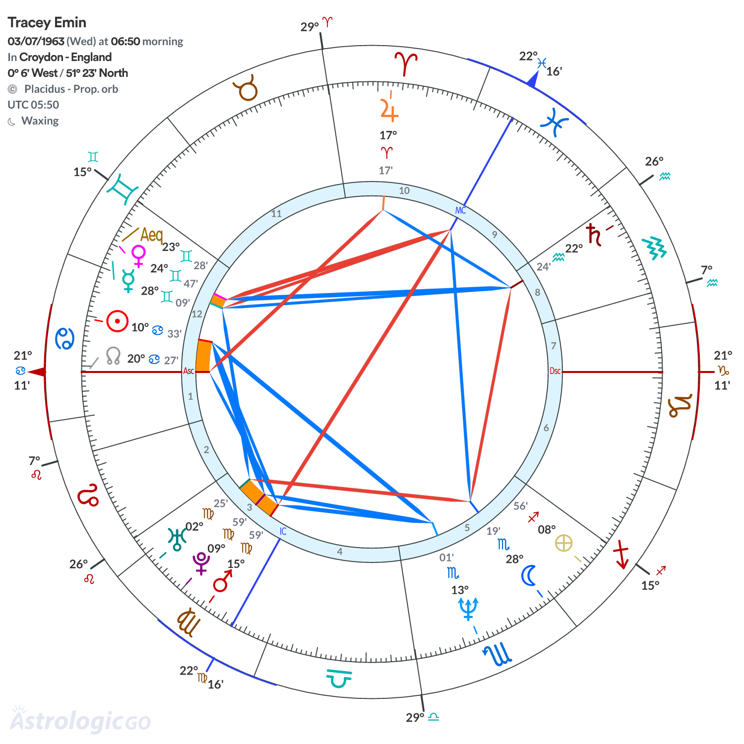 Chart wheel - Tracey Emin