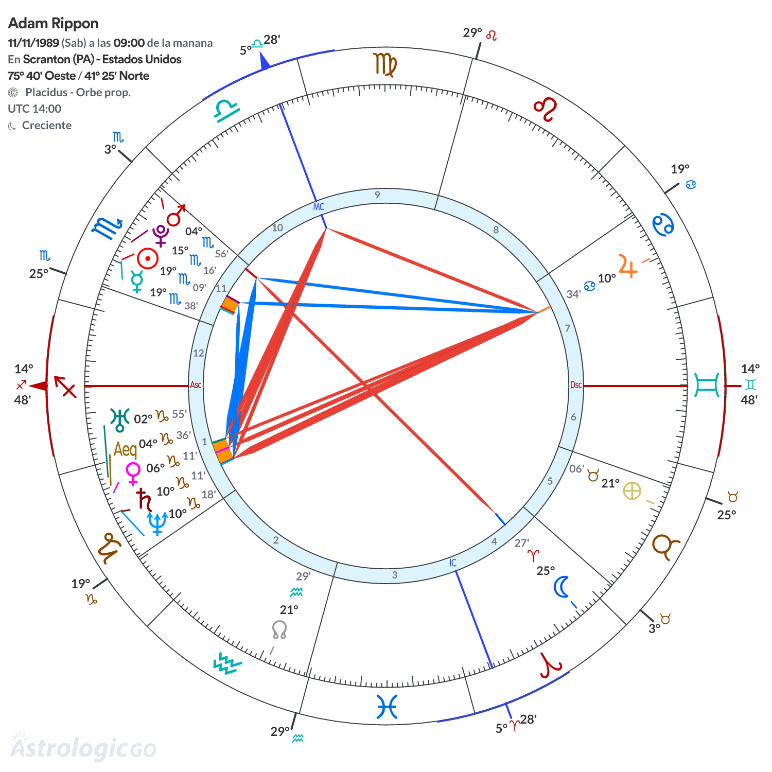 Mandala - Adam Rippon